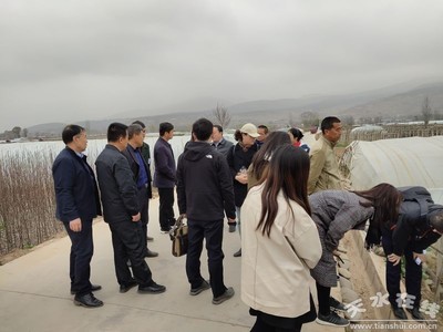鄭州商品交易所深入天水開展馬鈴薯產業調研，助力期貨市場服務鄉村振興